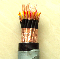 電(diàn)子计算机用(yòng)屏蔽控制電(diàn)缆