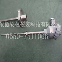 法兰套管式热電(diàn)阻