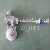 防爆热電(diàn)阻