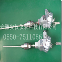 防爆热電(diàn)阻1