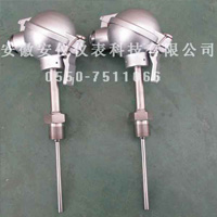 固定螺纹热電(diàn)阻