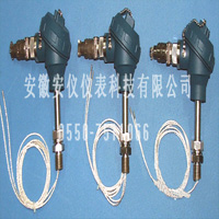 汽轮机专用(yòng)热電(diàn)阻