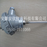 卫生防腐蚀热電(diàn)阻