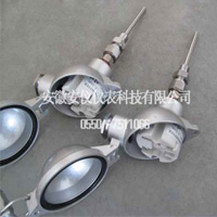一體(tǐ)化温度变送器热電(diàn)阻