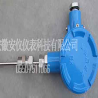 防爆热電(diàn)偶