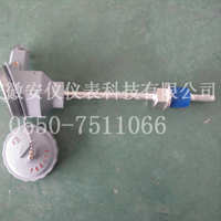 防爆热電(diàn)阻
