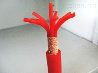 硅橡胶電(diàn)缆