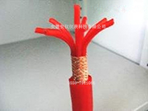 硅橡胶電(diàn)缆